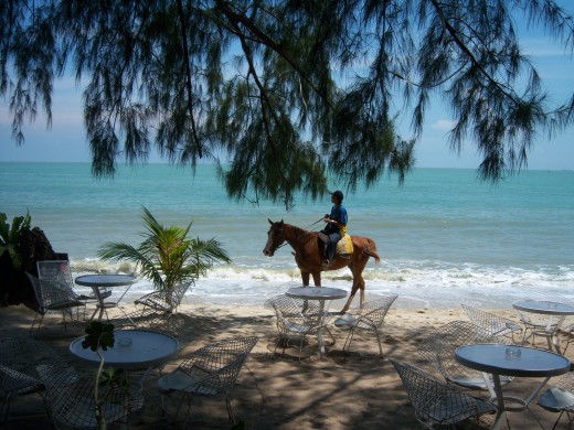 'D' Beach, bamboo shack friendly beach bar!