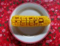 A Guide to Corn: Varieties, Harvesting, and Storing