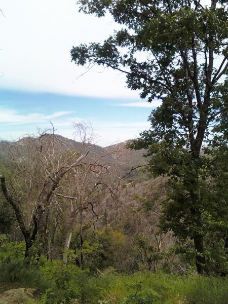 Here is a picture I took of the San Bernardino Mountains with my cell phone on a walk.