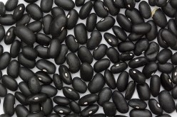Everything You Want to Know About Black Beans
