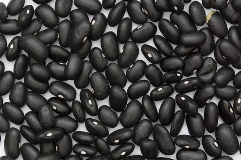 Black beans, also known as turtle beans, have a long history has a dietary staple.