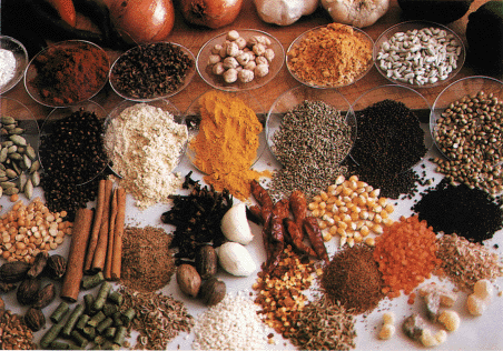 HERBS & SPICES (Photo courtesy of http://www.makeitnatural.com/)