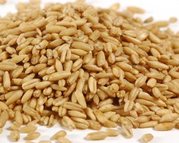 Oat Groats