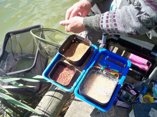 Getting the bait ready