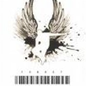 flyingwithmyfeet profile image