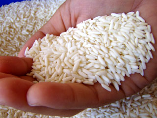 Help feed the poor with Free Rice.