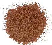 Ajwain powder pic