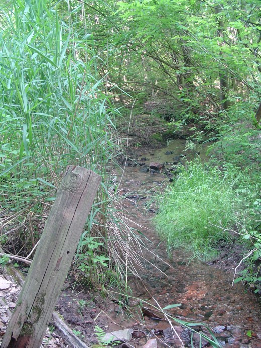 Creeks like this one produce a pleasant sound of running water.