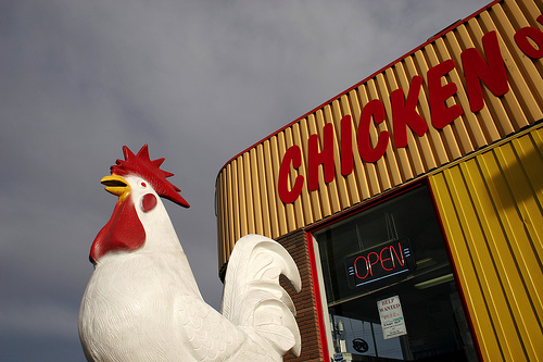 Chicken food photo: howie @flickr