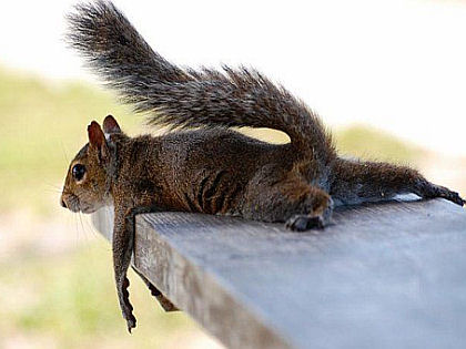 Undercover work is exhausting work!