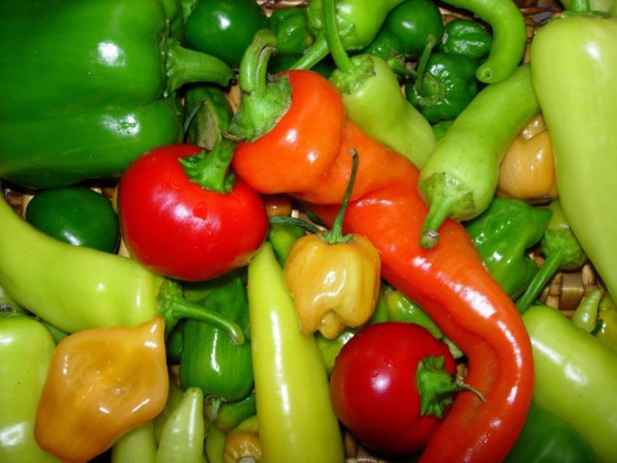 Salsa is made from a variety of healthy ingredients.