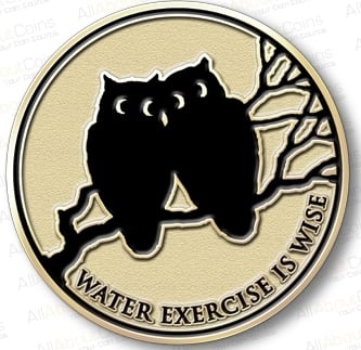 swim fitness pin saying "water exercise is wise"