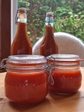 Healthy Fermented Condiments from Nourishing Traditions Cookbook