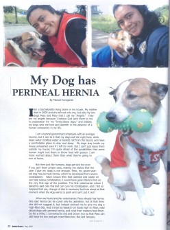 Dogs featured in a Pet Magazine or Newspaper