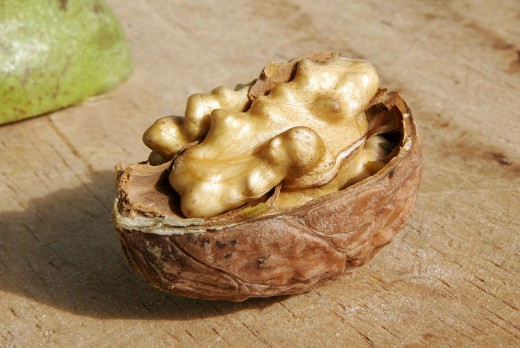 Walnut in half a shell!