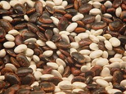 Techniques in Cooking Dried Beans -