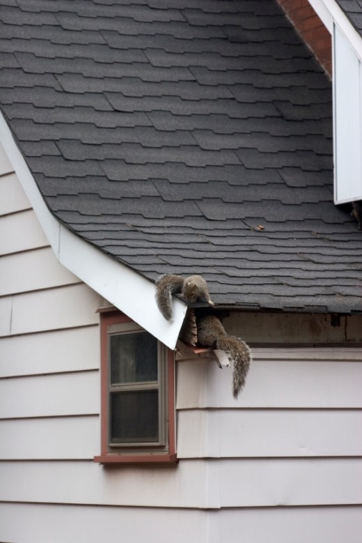 This is not my house, but it can happen this way!