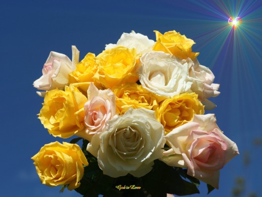 Agape Love