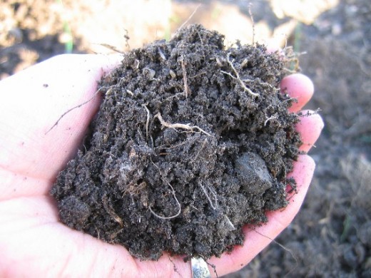 A nice compost to use on your garden