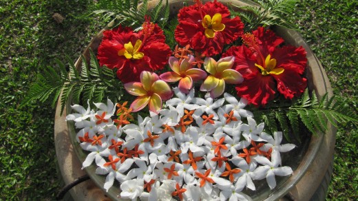 Pangkor Laut fresh flowers. Photo by Yean Xin