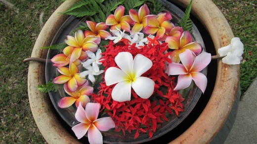 Pangkor Laut fresh flowers. Photo by Yean Xin
