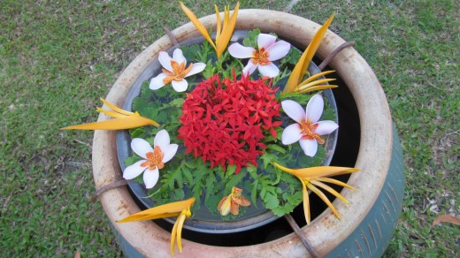 Pangkor Laut fresh flowers. Photo by Yean Xin