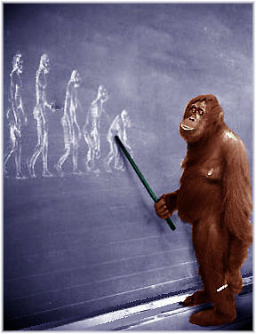 Suppose for a moment that devolution can also occur. This is not as far fetched as we suppose.