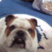 bacchusxxxxx profile image