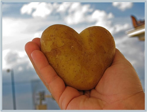 Picture by neona via Flickr.