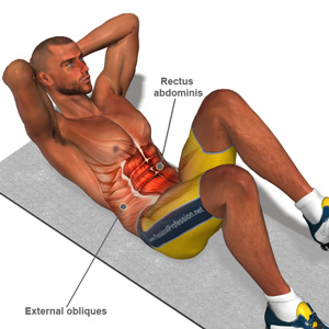 exercise diagram showing the muscles engaged during a sit-up