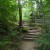 Copyright Tia D Peterson. All rights reserved. Copyright Tia D Peterson. All rights reserved.