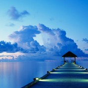 AmyChrist profile image