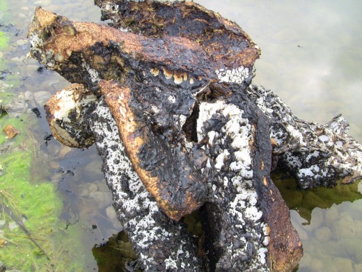 Fused remains of Styrofoam and fiberglass statue covering. Photo: Greg Reese 2010 Mom & Son