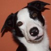 Cheryle profile image