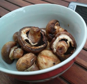Can't find portabello mushrooms? Try field mushrooms or any other large mushrooms instead. Can't find portabello mushrooms? Try field mushrooms or any other large mushrooms instead.