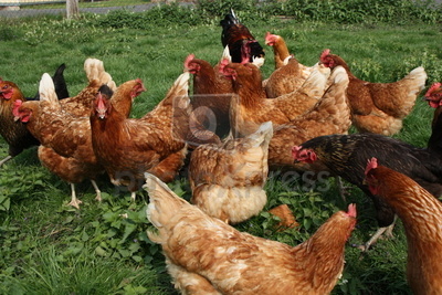 photo by stockphoto.com