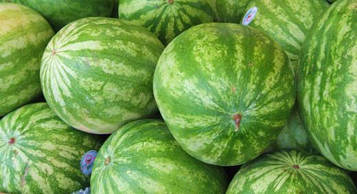 Whole watermelons / Photo by E. A. Wright