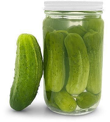 HubPages profile picture for @pickles