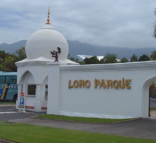 Loro Parque. Photo by Steve Andrews