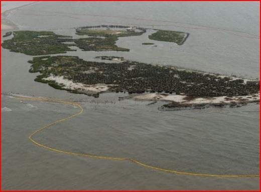 Breton Island, Louisiana -- a bird sanctuary. Did the booms save them? 