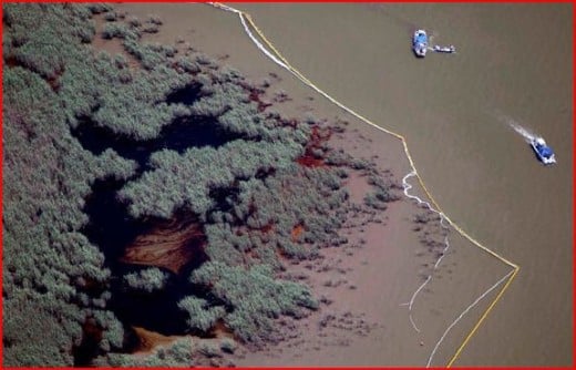 Oil infiltrating the marshes as seen from the air.
