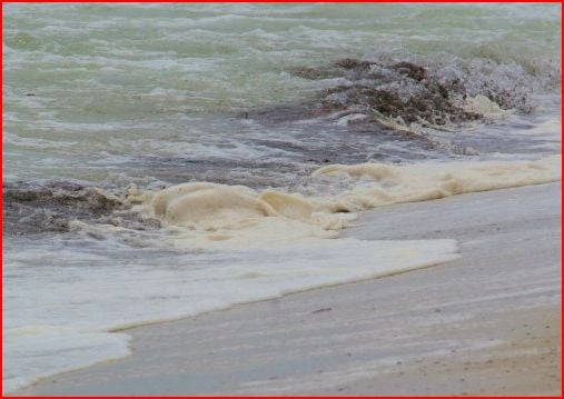 Panama City, Florida -- the oil arrives. This photographer says, "I couldn't believe it. It's here. I sat down and cried."