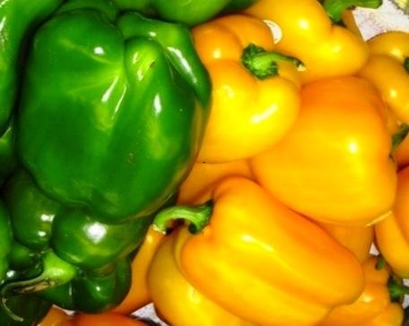 Look at these bright colors, you know they are packed with nutrients. 
