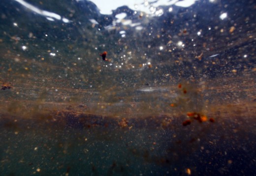 Patches Of Oil