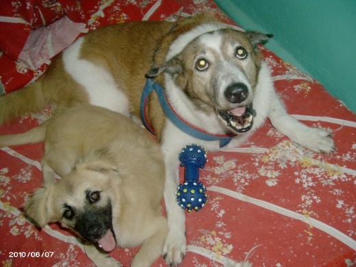 Peso and PM