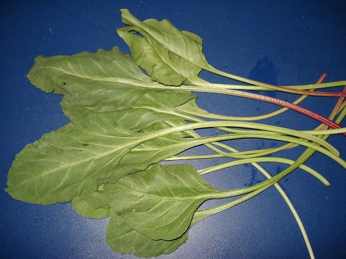 some spinach leaves