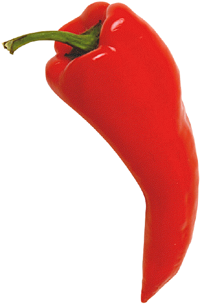 courtesy of schoolweb.dysart.org/.../red_chili_pepper_2.gif