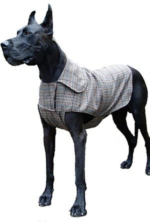 Apparel for larger breeds will cost more due to the use of more fabric and because they may need to be custom made in some cases.  Like Great Danes!