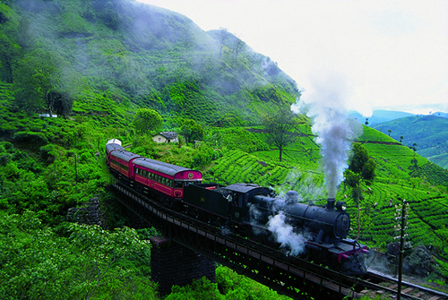 Sri Lanka Tea Estate Train