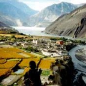 CSNepal profile image